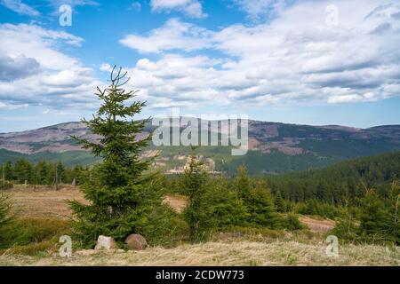 Vista dal Wurmberg al Parco Nazionale di Harz. Sullo sfondo è la cima di Brocken. Foto Stock