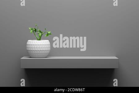 ripiano grigio con pianta verde in vaso su parete con luce dall'alto Foto Stock