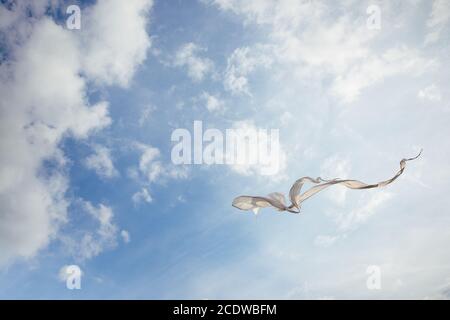 White kite battenti contro il cielo blu pieno di nuvole. L'immagine orizzontale Foto Stock