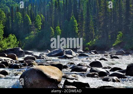 Che scorre veloce fiume di montagna tra fitti boschi e grandi pietre Foto Stock