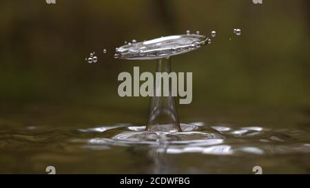 Acqua splash corona sulla natura lago illustrazione 3d Foto Stock