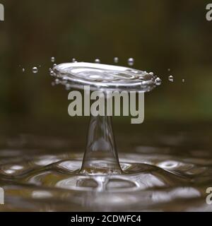 Acqua splash corona sulla natura lago illustrazione 3d Foto Stock