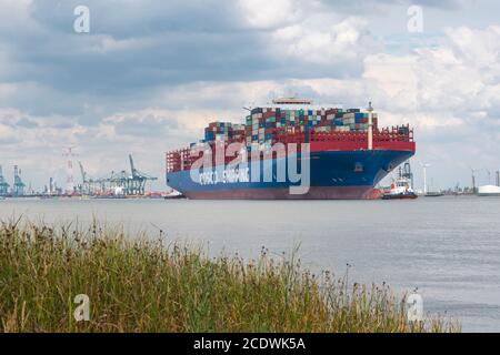 Doel, Belgio, 17 agosto 2020, Cosco Shipping è un'azienda di trasporto di navi portacontainer con sede a Shanghai Foto Stock