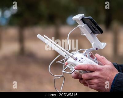 Un drone di pilotaggio pilota con il telecomando con lo smartphone nelle sue mani nella foresta Foto Stock