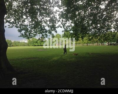 Battersea Park dopo la tempesta Foto Stock