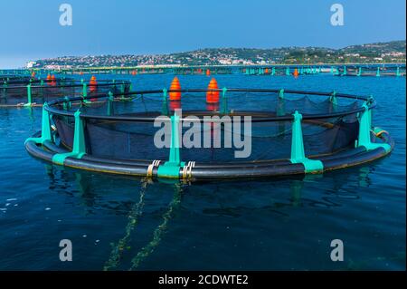 Fattoria di mare, Parco Naturale Sečovlje Saline, Slovenia, Europa Foto Stock