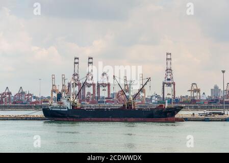 Colombo, Sri Lanka - 25 novembre 2019: Nave Generale del Cargo Stella Beauty ormeggiato al porto di Colombo nello Sri Lanka. Foto Stock