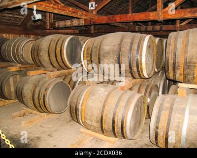 Nikka whiskey, azienda vinicola giapponese a yoichi, magazzini per whisky e vino, vendita di whisky e vino di lusso. Foto Stock