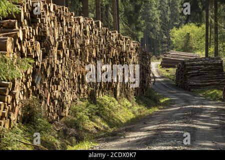 tre pile o polter di tronchi segati su una strada forestale, legno industriale Foto Stock