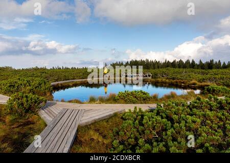 Giovane ragazzo che cammina sul lungomare di legno che attraversa paludi circondate da cespugli, laghi Lovrenska jezera, Slovenia Foto Stock