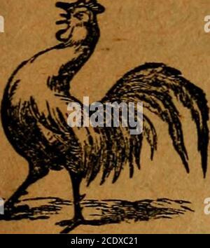 . Turner's North Carolina Almanac : per l'anno di nostro Signore ... . – 4 aprile (2); 3 ottobre (2). Circuito e tribunale distrettuale di Statesville: Henry C. Cowles, Clerk, Statesville. Aprile 18; ottobre 17 (2). Circuito di Salisbury e Tribunale distrettuale - 25 aprile (1); 24 ottobre (1). Circuito di Asheville e Tribunale distrettuale - W. S. Hyams, Clerk, Asheville. 2 maggio (2); 7 novembre (2). Circuito di Charlotte e corte distrettuale-Henry C. Cowles, Clerk, Statesville. Giugno 13 (3); Dicembre 12 (2). Circuito e Tribunale distrettuale di Wilkesboro - 23 maggio (2); 28 novembre (2). Corte d'appello del circuito degli Stati Uniti. La Corte d'appello circuito, F. Foto Stock