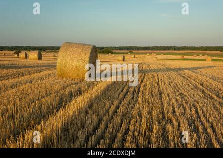 Balle di fieno stese al tramonto Foto Stock