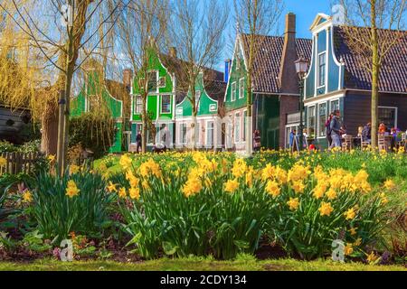 Zaanse Schans, Paesi Bassi, case verdi Foto Stock