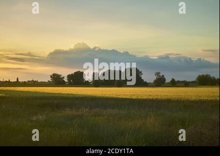 Paesaggio tipico della campagna italiana. Foto Stock