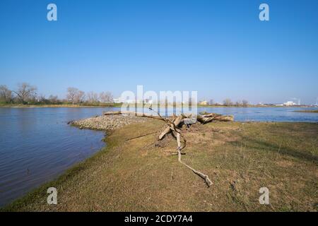 Il fiume Elba vicino a Magdeburgo. Sullo sfondo l'area industriale Rothensee Foto Stock