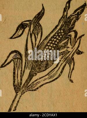 . Turner's North Carolina Almanac : per l'anno di nostro Signore ... . ^B. B. B/ carni bovine, BIOood & BONE * FEHTIlilZER * WILLGJVE SODDISFAZIONE. ^:^ea .or coffON and CORN di S. W. TRAVERS&CO., Richmond, Va. Branch Virginia-Carolina Chemical Company. Foto Stock