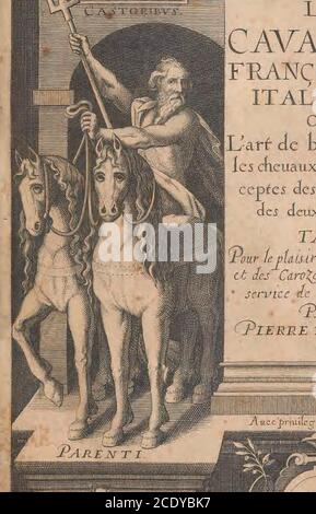 . La cavalerie françoise et italienne, ou, l'art de bien dresser les chevaux, selon les preceptes des bonnes écoles des deux Nations : Tant pour le plaisir de la carriere, et des carozels que pour le service de la guerre . tenues pour deuemen t figurifié^sj & quàla collation foy foit adiouftée.commç au prefent Original Car tel eftre plafir, Donneà Paris le foiefme iour de^eurier^ fandegraçe mil fix cents vingt. Et de noftre rcgnc lç4ixiefme. k Roy en [m Çonfiih et feellces du Grand seau m cire ïmm, en fînipqueuë pendant» c i ? i 39088005647490. LA CAVALERIE FRANÇOISE ET ITALIENNE, OU Foto Stock