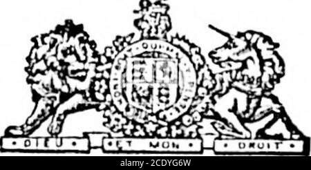 . Colonista quotidiano (1898-06-28) . Columbia, e tlieir tlieir consiglio lu nostro Legislature, Weo iiiiaki! Noto il nostro intoyal volontà e supplica di convocare una nuova assemblea lirica di Our ha detto Provincia e di fare ulteriore declassamento che, su consiglio del nostro Executive Council-cil ot British Columbia, abbiamo questo giorno dato ordini per emettere i nostri writi in duetorn, per chiamare un nuovo assem-bly legislativo per la nostra detta Provincia, Che Writsary a portare data il settimo giorno di.Inne, Instant, e di essere reduvnablo su orbefore il thlrly-tlrst giorno di agosto successivo. NELLA TESTIMONIANZA W^HEREOF abbiamo havecaused queste nostre lettere a b Foto Stock