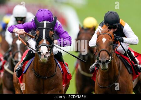 Atalanta's Boy guidato da Thomas Greatrex (a sinistra) sulla loro strada per vincere i Ladbrokes dando posti extra ogni giorno handicap al Goodwood Racecourse, Chichester. Foto Stock