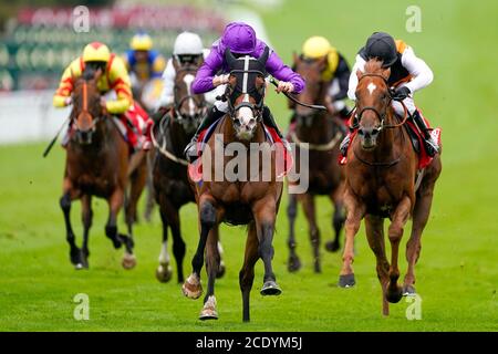 Atalanta's Boy guidato da Thomas Greatrex (centro) sulla loro strada per vincere il Ladbrokes dando posti extra ogni giorno handicap al Goodwood Racecourse, Chichester. Foto Stock