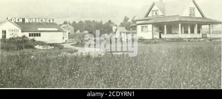 . La storia di Anthony Coombs e dei suoi discendenti y Gregory Hubbard (figlio di Andrew CoombsHubbard), b. Aprile 22, 1864; m. 7 agosto 1888, NellieE. Pescatore di Danbury, Conn. Occ. machinist. Frank W. Hubbard (figlio di Andrew Coombs Hubbard), b. 1 dicembre 1866, a Cincinnati, Ohio; m. 1 dicembre 1897, Maria Flatera di Bridgeport, Conn.; d. 3 febbraio 1909, a Erie, Pa. Occ. machinist. Sophie Abby, n. 5 marzo 1899. Andrew George, a.. 26 marzo 1903. Harry Hale Russell (figlio di Mary P. Hubbard Rus-sell), n. 27 gennaio 1869, a Cheyenne, Wyo.; m. 27 settembre 1889, Dollie E. McEntire, a Santa Fe, N. Mex.Present residence, Foto Stock