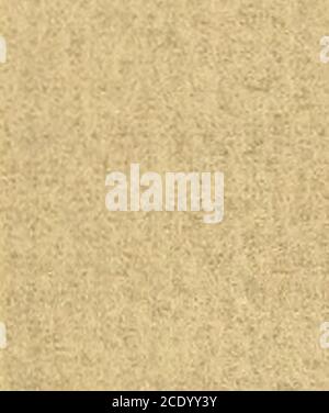 . Governatori del Maryland, dalla rivoluzione all'anno 1908 . WILLIAM PACA 1782-1785 Foto Stock