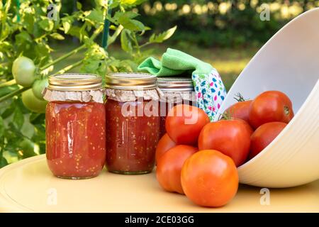 Inscatolamento di pomodori freschi dal giardino di cortile Foto Stock