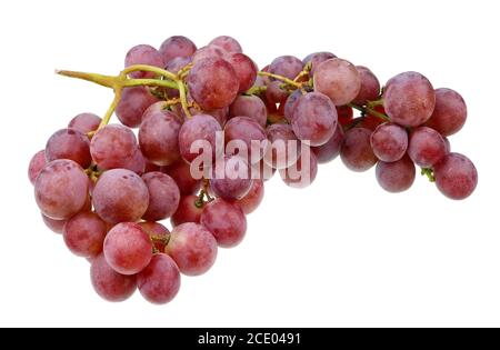 Un grosso mazzo e un mucchio di dolce Isabella rossa uve isolate Foto Stock