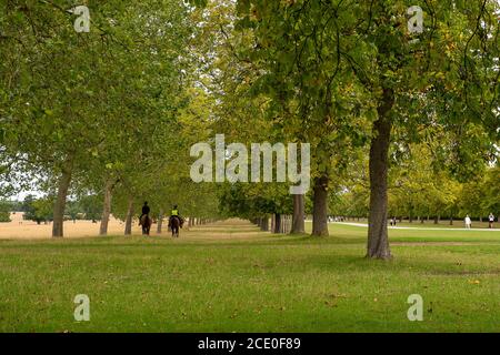 Windsor, Berkshire, Regno Unito. 30 agosto 2020. Cavalieri fuori sulla lunga camminata a Windsor. Credito: Maureen McLean/Alamy Foto Stock