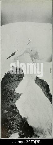 . Bollettino Sierra Club. Di Rafferty Creek 225 li. Vicino Sierra Club Camp a Tuolumne Meadows 235 LII. Un assaggio della Tuolumne Canon 235 LIII. Lake Washburn, Merced Canon 236 LIV. Lago Merced, Merced Canon 236 LV. Muir Gorge, Tuolumne Canon 241 LVI. Traversata su Log, Valle di Pate 242 LVII. Una porzione del pavimento fiorito simile al Parco di Hetch-Hetchy 242 LVIII. L'acqua-Ouzel 244 LIX. Cade alla testa di Tuolumne Canon 256 LX. Indian Cliff, Pate Valley 258 LXI. Pictograplis Indiano, Valle di Pate 258 LXII. Pittogrammi indiani, Valle di Pate 259 LXIII. Muir Woods 285 LXIV. Muir Woods 286 LXV. Muir Woods Foto Stock