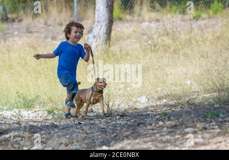 Il ragazzino cammina e gioca con il suo cane in foresta, lontano dal pericolo della città e del traffico Foto Stock