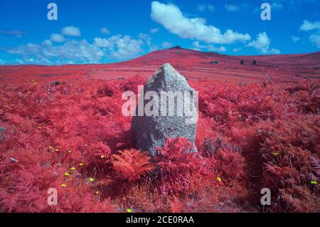 Sting Stone vicino al Castello di Bosigran con Carn Galva in background, Cornovaglia UK Foto Stock