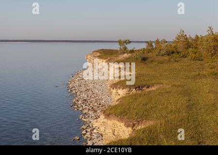 Panga Cliff, la scogliera più alta di Saaremaa, Estonia Foto Stock