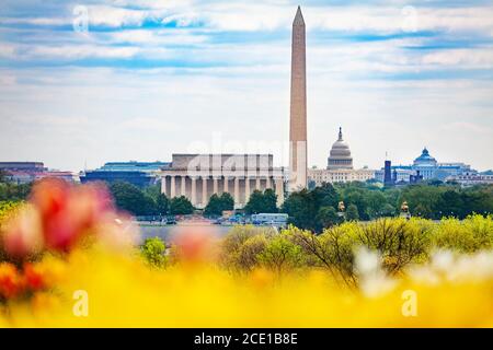 National Mall Lincoln Memorial Washington Monument obelisco e Stati Uniti Edificio del Campidoglio dietro i tulipani Foto Stock