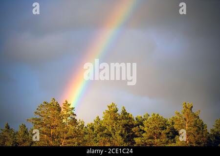 Splendido spettro arcobaleno nel cielo dopo la pioggia. Fenomeni colorati nelle nuvole. Nessuno Foto Stock