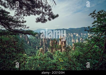 Paesaggio di pietra Tianzi colonne di montagna in Zhangjiajie Foto Stock