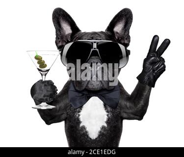 pace cocktail cane Foto Stock