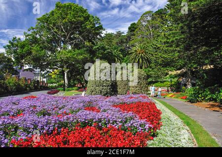 Colorate composizioni floreali, Wellington Botanic Garden, Wellington, Regione di Wellington, Isola del nord, Nuova Zelanda Foto Stock