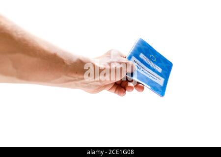 passaporto per animali domestici pronto per il viaggio Foto Stock