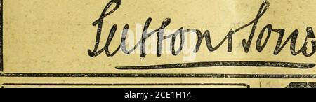 . Agricoltore e allevatore . Il risultato della semina pulsanti Prizewinner Mangold, 109 tonnellate per acr&gt;e, cresciuto da J. A. Hurditch, Esq., Povtbury. 101 tonnellate per acro, coltivato da S. S. Young, Esq , J.P., Belemcnt. 1 sono certo che non c'è nessun altro di questo tipo nella coltivazione asSuttons Prizewinner per il waight o quilit/, o per il kespin j un lunghof tint?. - Henry Matthews, Esq., do-vn Farm. • ho avuto un gran raccolto di Prizewinner Mangold e il rootshave mantenuto meravigliosamente W3.l (maggio 24) Watson, Match, Buttons Prizewinner il miglior rapporto qualità-prezzo. Per libbra 3/-; per cwt. I RE SEEDSMEN, READING. LETTORI gr Foto Stock