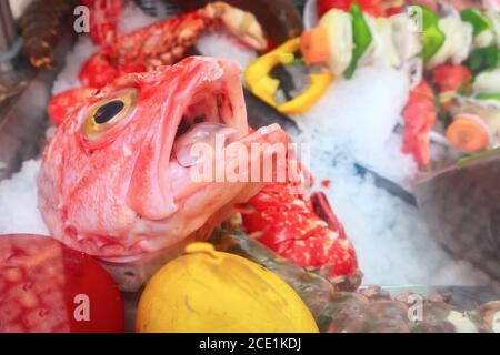 Ocean Perch in esposizione al negozio Foto Stock