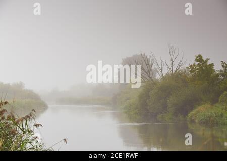 Tempo autunnale. Alba piovosa. Alba nuvolosa. Foschia e nebbia sull'acqua. Nebbia sul fiume Neman, Bielorussia Foto Stock