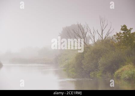 Tempo autunnale. Alba piovosa. Alba nuvolosa. Foschia e nebbia sull'acqua. Nebbia sul fiume Neman, Bielorussia Foto Stock