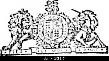 . Colonista quotidiano (1892-11-23). Licazione a S. A. 6. Haniorsloy, Solicitor, Vancouver, B.C. le gare per bo sentin sotto copertura sigillata, ha approvato le offerte per Debenture!, indirizzato a Robert G. Clarke, Clerk al Consiglio Comunale di Dowdnoy, onor prima del 2 dicembre 1892. Il più alto o qualsiasi prestatore non necessariamente accettato. ROBERT GHANVI1.DK MoKAMEY,no!3 td Reeve comune di Dowdnoy. ACERO RIDGE DYKING COMMISSARI. Le offerte sono askod per tho acquisto di deen-tures all'importo di 880,000, a bo emesso dal acero Ridge Dyking commissioners underto disposizioni di tho drenaggio e. Foto Stock