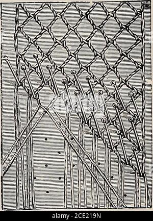 . Una storia di merletti fatti a mano : tratta dell' origine del merletto, della crescita dei grandi centri del merletto, del modo di fabbricazione, dei metodi di distinzione e della cura di vari tipi di merletti . Terreno esagonale in corso diMaking sul cuscino conBobbins (ingrandito). Terreno circolare Mechlin, naturalmente ofMaking sul cuscino con le bobine (ingrandite). GLOSSARIO. 213 Foto Stock