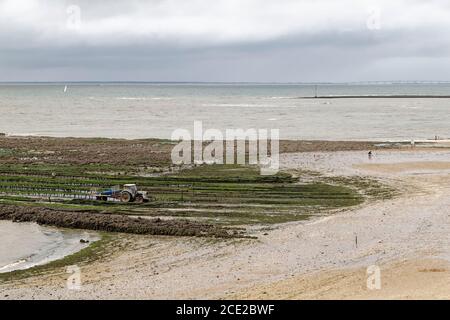 Isola di Aix, Francia. 25 Agosto 2020. Oyster agricoltori che lavorano su Ile d'Aix in Charente-Maritime, Francia. Foto Stock