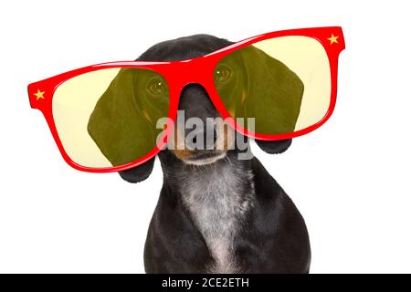 Cane carino con cappello da festa e deliziosa torta di compleanno su sfondo  blu Foto stock - Alamy