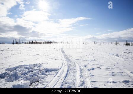 Piste per motoslitte in un paesaggio nevoso di tundra, Yamalo-Nenets Autonomous Okrug, Russia Foto Stock