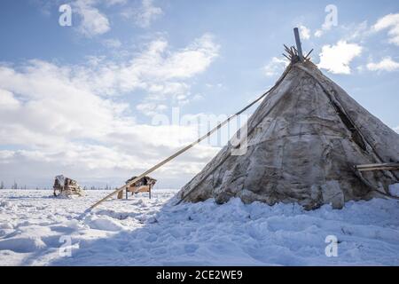 Un chum (tenda tradizionale coperta di pelli di renna) in un campo di Nenet, Yamalo-Nenets Autonomous Okrug, Russia Foto Stock