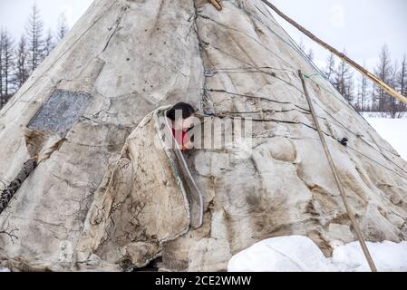 Una donna Nenet che sbircia da un chum (tenda tradizionale coperta di pelli di renna), Okrug autonomo Yamalo-Nenets, Russia Foto Stock